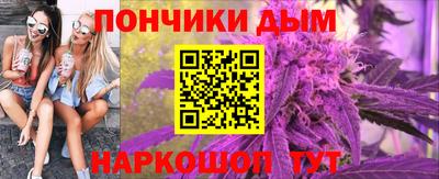 индика Ирбит