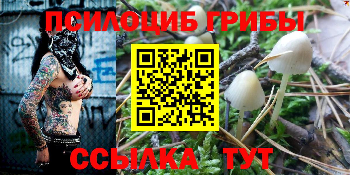 Псилоцибиновые грибы MAGIC MUSHROOMS Кудрово